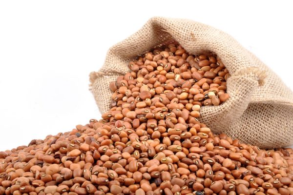 Brown cowpeas spilling from a burlap sack